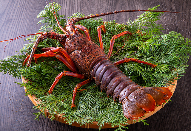 伊勢海老焼／伊勢海老煮